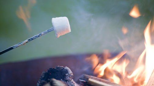 Marshmallow toasting over campfire at River Wey and Godalming Navigations and Dapdune Wharf, Surrey